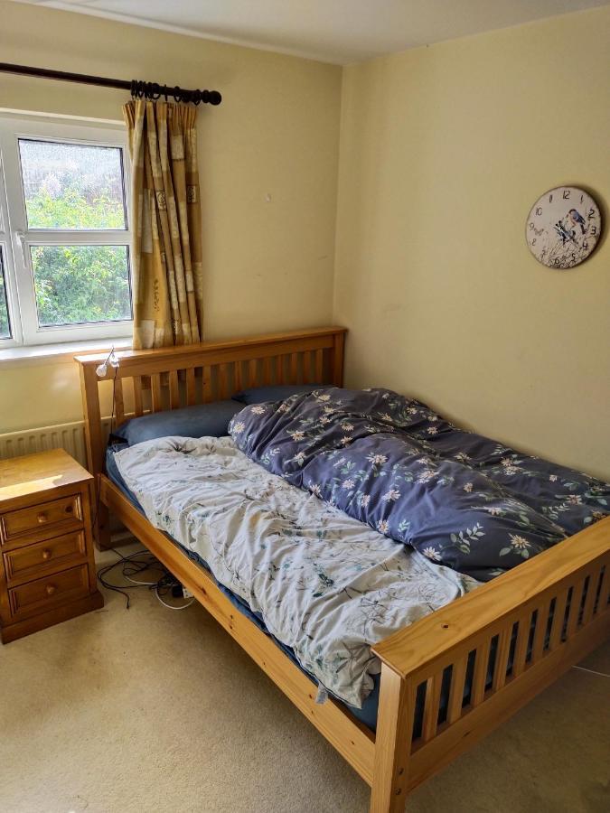 Crescent Apartments Homestay コーク エクステリア 写真