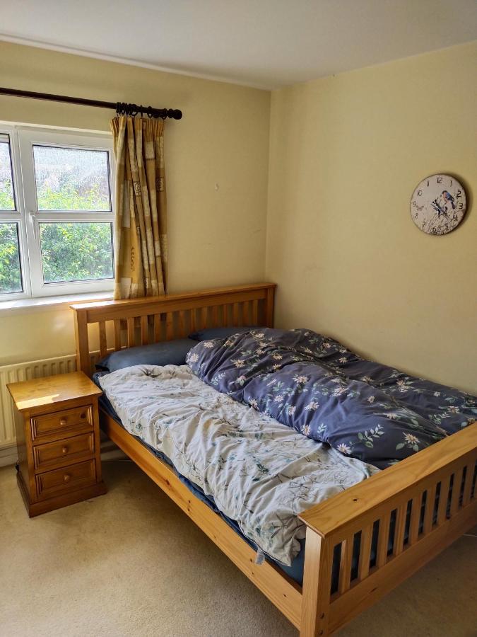 Crescent Apartments Homestay コーク エクステリア 写真