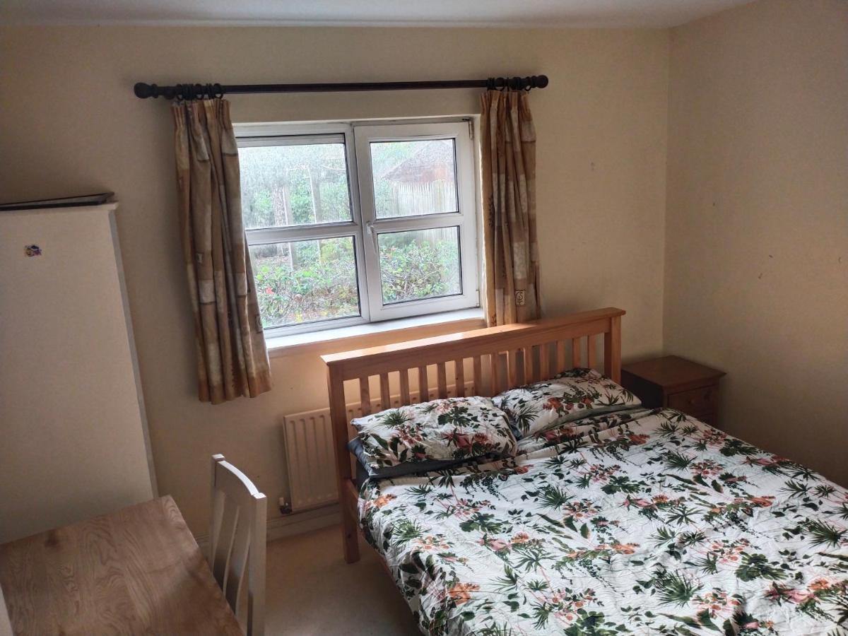 Crescent Apartments Homestay コーク エクステリア 写真